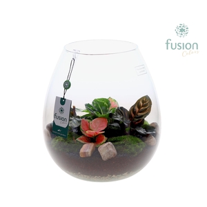 Green Bottle Abby XLarge met groene planten