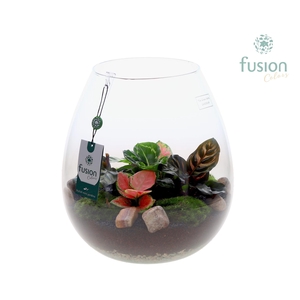 Green Bottle Abby XLarge met groene planten