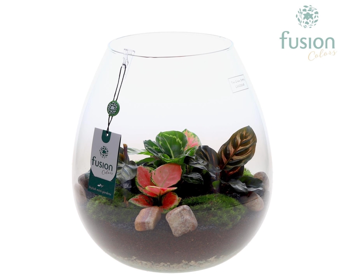 <h4>Green Bottle Abby XLarge met groene planten</h4>