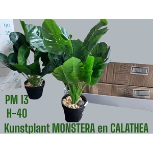 HUIS EN TUINDECO H%
