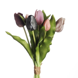 AF Tulip Bundle x7 L31cm Mix M