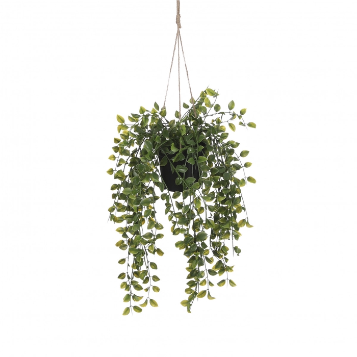 Kunstplanten Hang Ficus d20*46cm