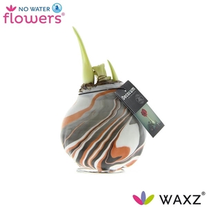 Hipp Waxbulb Artooz Copper