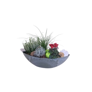 Arr.   Tuinplanten L%
