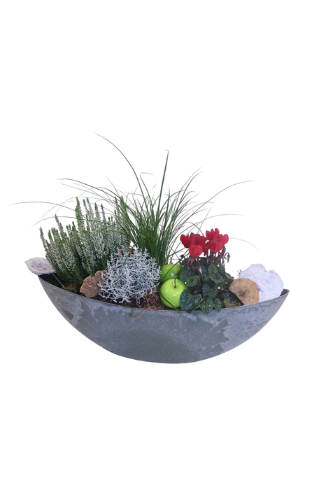 <h4>Arr.   Tuinplanten L%</h4>