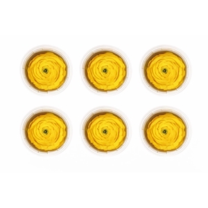 Ran Pres Yellow