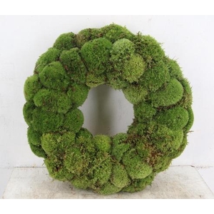 WREATH BOL MOSS 45CM