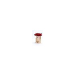 GE MI RED RUBY