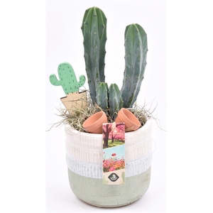 Keramiek pot wit/gr 12cm