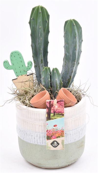 <h4>Keramiek pot wit/gr 12cm</h4>