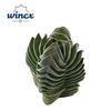 Crassula Buddha Temple Cutfl (diameter 3cm) Wincx-
