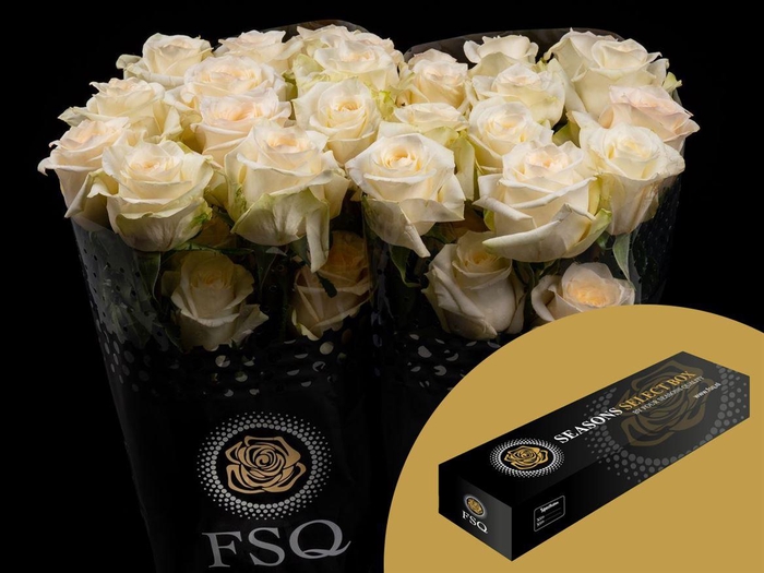 <h4>R GR Candle Light Box</h4>