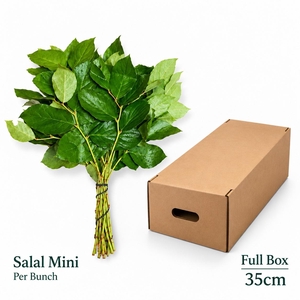 DECOGROEN GROOT BLAD