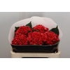 Wax Hydrangea Hydr Wax Paars XL