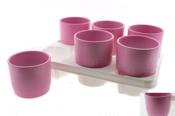 <h4>HUIS EN TUINDECO H%</h4>