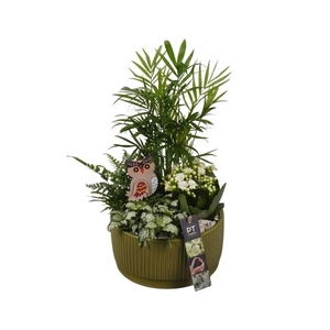 PTHI5588 Arrangement Herfst Indoor in Keramiek schaal