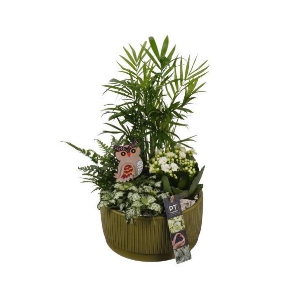 <h4>PTHI5588 Arrangement Herfst Indoor in Keramiek schaal</h4>