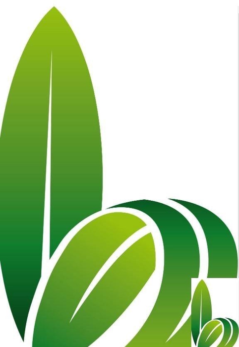 <h4>HUIS EN TUINDECO H%</h4>