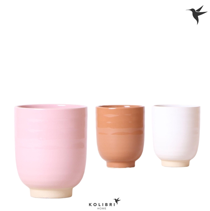 <h4>Kolibri Home Glazed pot mix</h4>