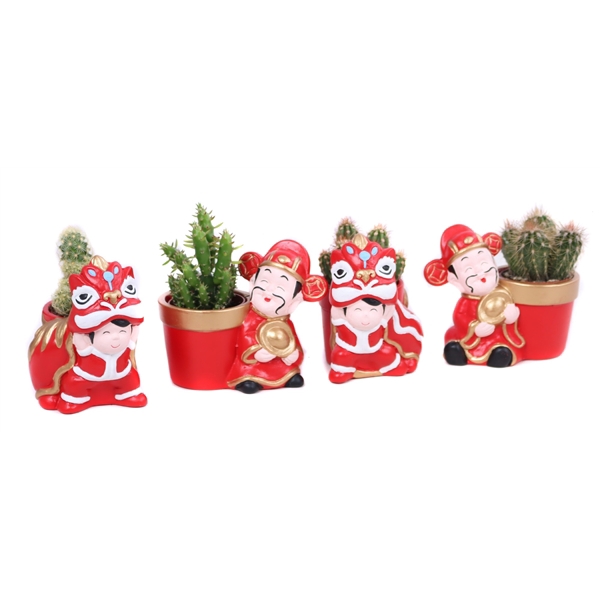 <h4>Cactus 5,5 cm in Chongqing planter</h4>