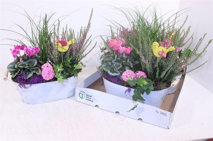 <h4>ARR TUINPLANTEN</h4>