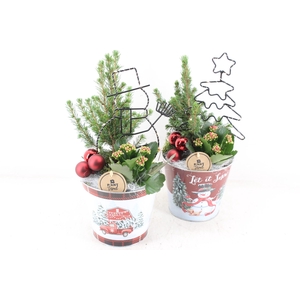 arr2 PL - Zink xmas pot met led frame