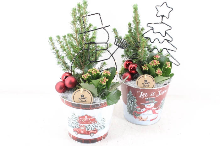 <h4>arr2 PL - Zink xmas pot met led frame</h4>