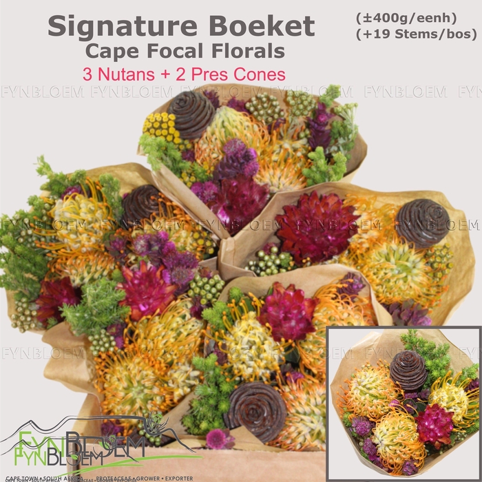 <h4>PROTEA PER BOS</h4>