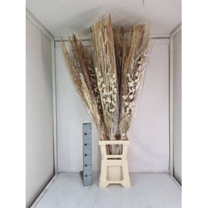 Grand bouquet séché