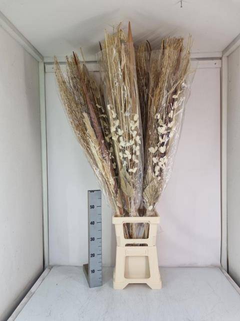 <h4>Grand bouquet séché</h4>