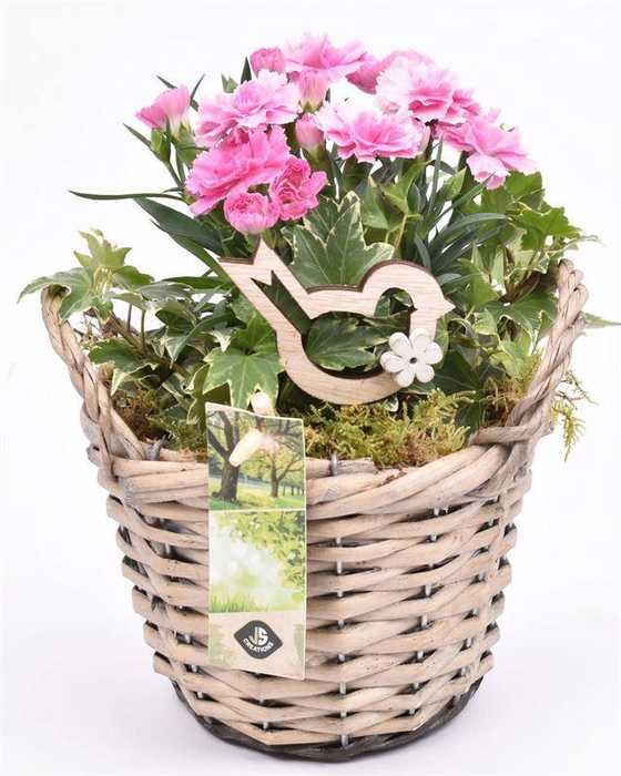 <h4>Wilg mand grijs met oor 14cm</h4>