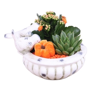 Autumn Arr. Ceramic Bird Drinking Bowl Ø23cm 2PP