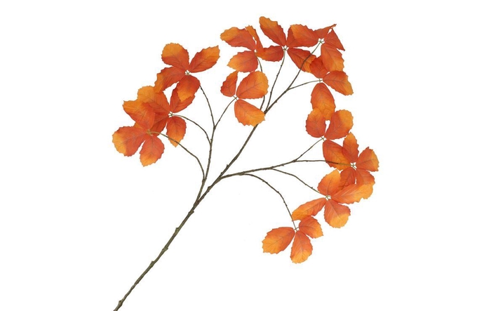 <h4>Silk Leaf Chestnut Orange 135cm Nm</h4>