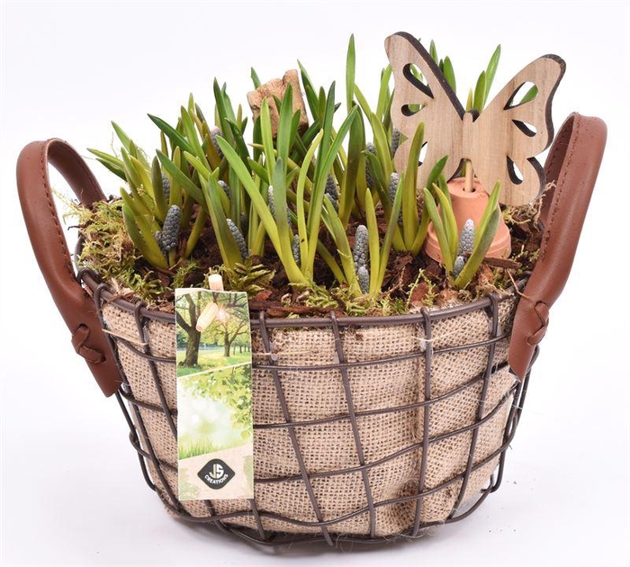 <h4>Gaasmand met jute 21x15.5cm</h4>