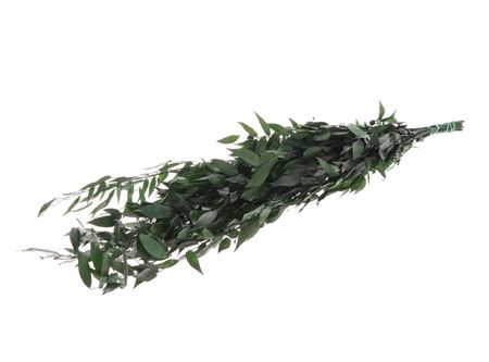 Bunch Ruscus Preserved 150g