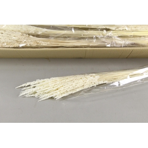 DF Mappetta Bs Bleached 100g