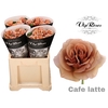 R GR CAFE LATTE x40 588