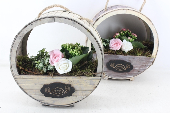 <h4>arr2 TD - Houten wiel x4 - roze/wit</h4>