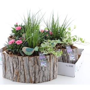 ARR TUINPLANTEN