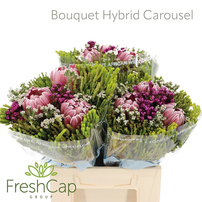 Bouquet Hybrid Carousel