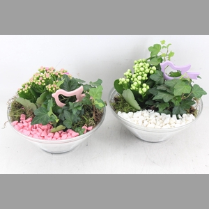arr2 PL - Glas ribbel schaal x3 - roze/wit