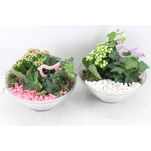 arr2 PL - Glas ribbel schaal x3 - roze/wit