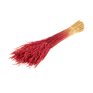Rice Red