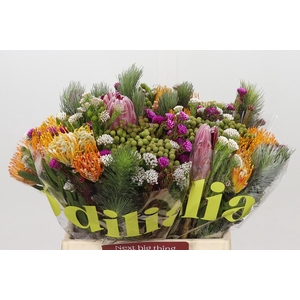 BQ Kaaps Groen Rivermix