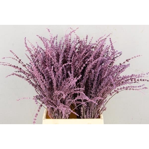 Df Lavender Bs Pink