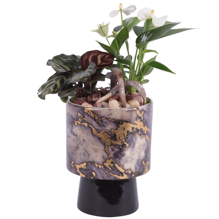 <h4>Yearround Arr. Indoor Ceramic Pure Luxury PL672 Ø14cm 2PP</h4>
