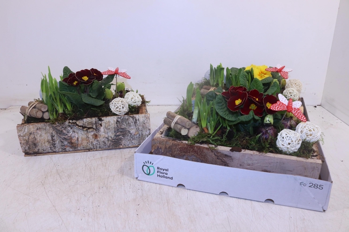 <h4>ARR TUINPLANTEN</h4>