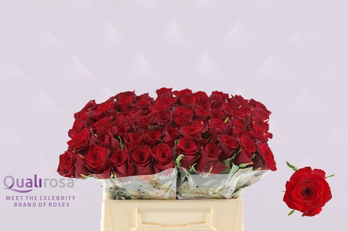 <h4>R Gr Monte Carlo</h4>