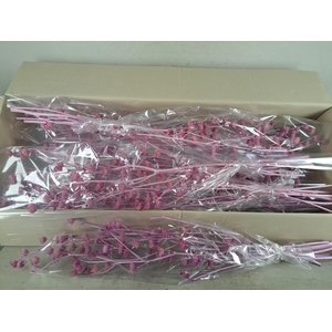 DF Lavatera Bs Lilac 120g