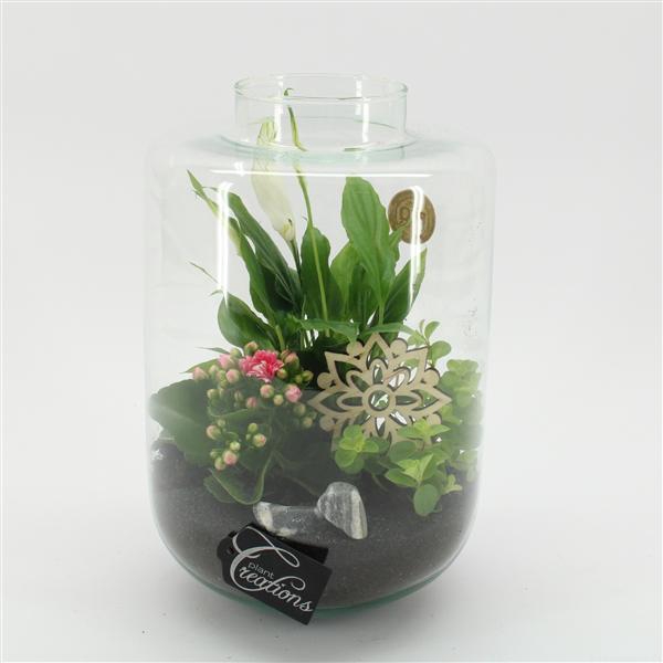 <h4>ESCR-2533RZ Essentials terrarium</h4>